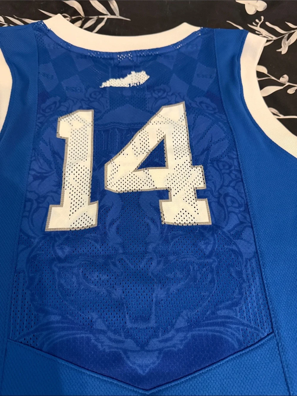 Nike Blue and White Kentucky Basketball Jersey #14